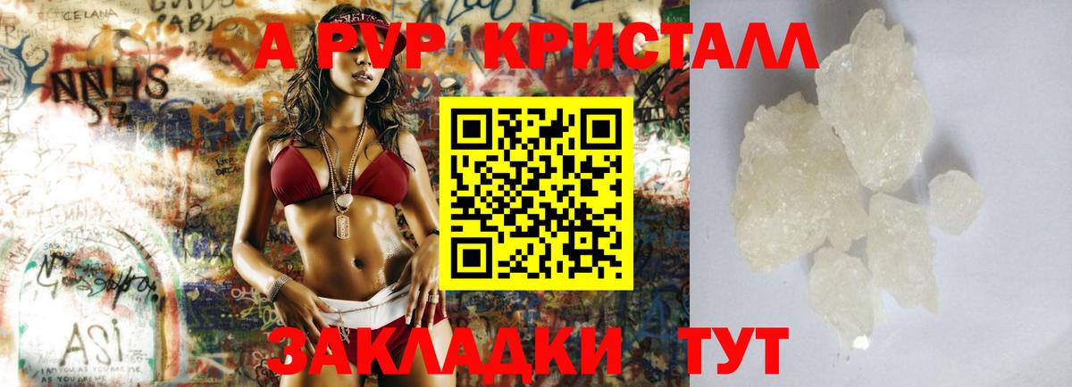 A-PVP СК Аргун