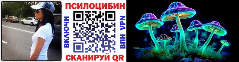 ссылка на мегу онион  наркошоп  Аргун  darknet клад  Галлюциногенные грибы MAGIC MUSHROOMS 